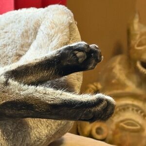 Vintage Jewelry Sale Odd and Unusual Bargains